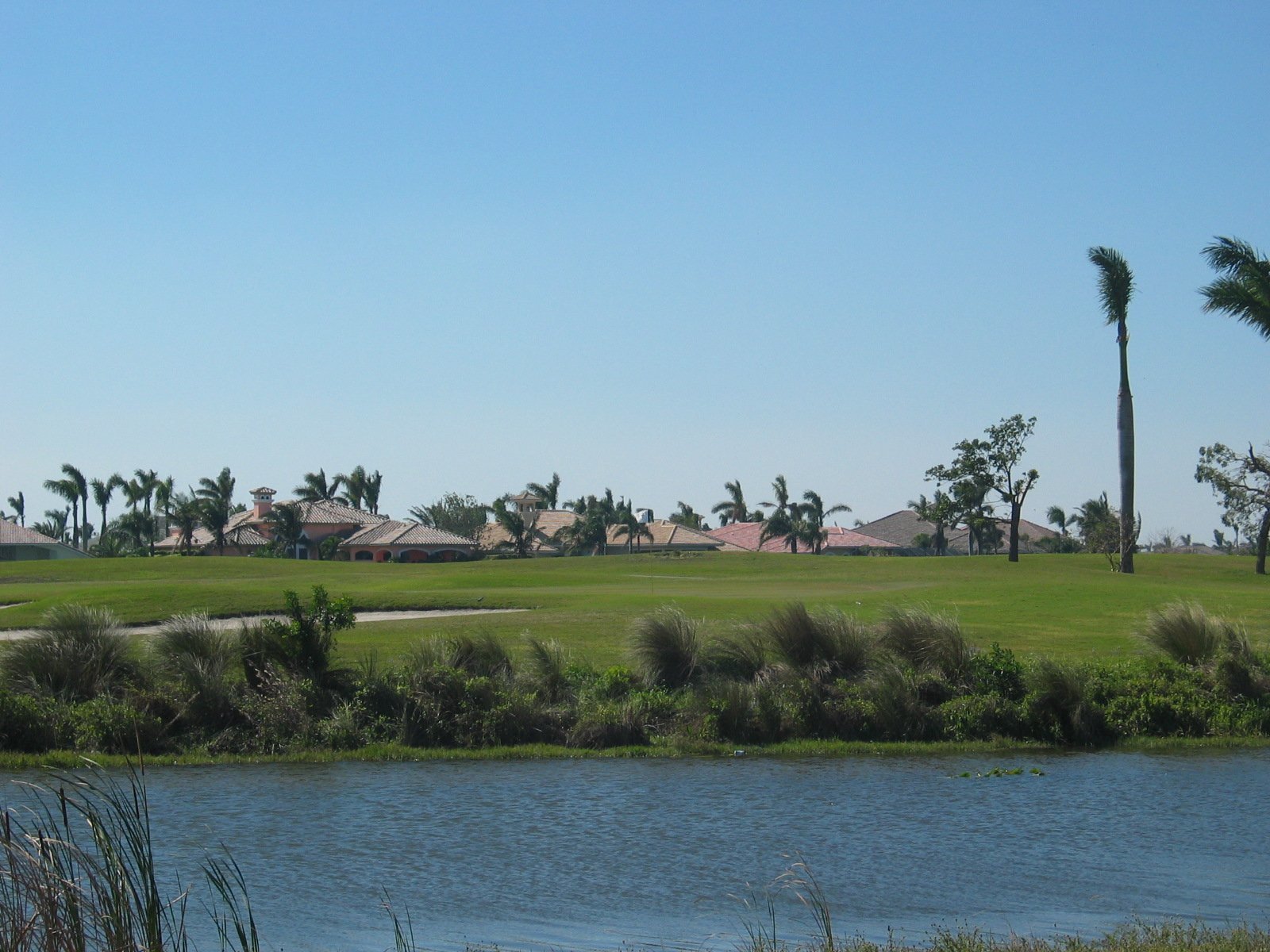Heron Bay Golf Course Views